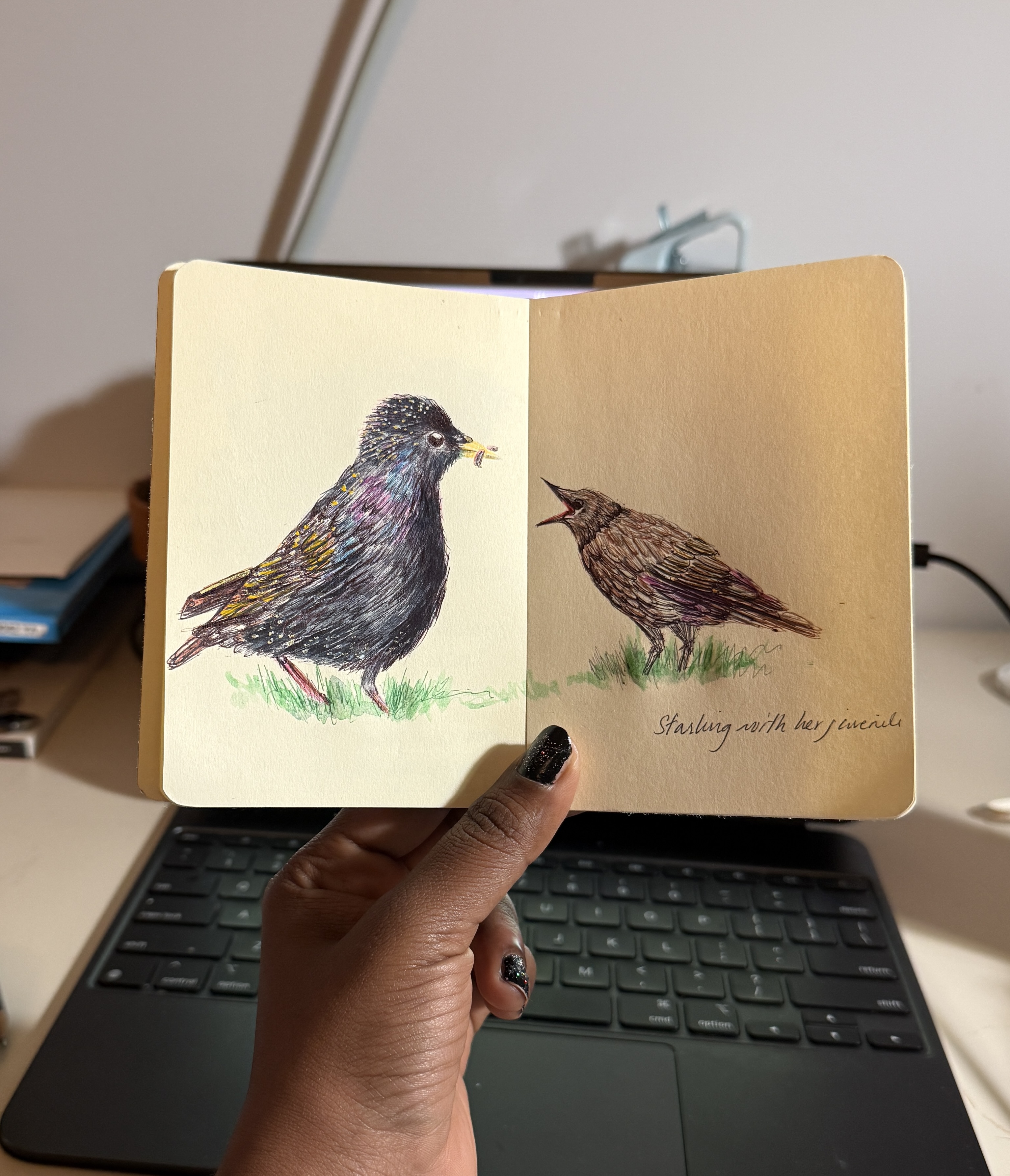 Artwork by Lawanya