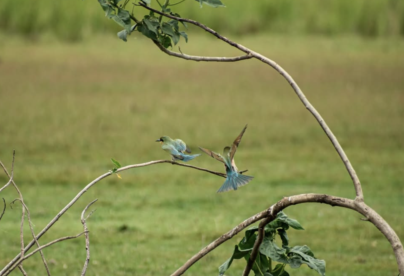 Photography by Lawanya